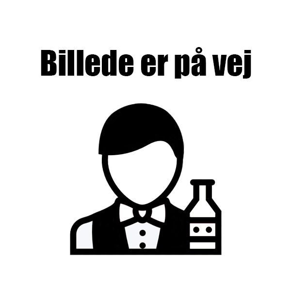Archie Martini Glass 24 cl i klart glas med elegant V-formad skål och slank fot
